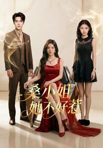 桑小姐她不好惹（103集）一起追生活短剧