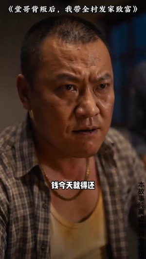 堂哥背叛后，我带全村发家致富（35集）短剧追不停