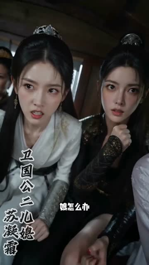 将门傻婿：风云再起（79集）短剧看全集