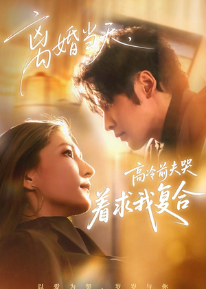离婚当天，高冷前夫哭着求我复合（77集）精彩不断免费看