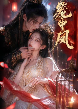 笼中凤（44集）在哪看免费