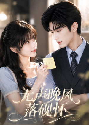 无声晚风落砚怀（40集）全集