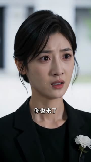 阳台上的二十年谎言（60集）热门短剧免费看