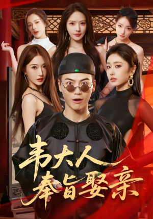 韦大人奉旨娶亲（81集）一口气追完全集