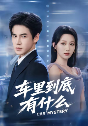车里到底有什么（51集）无需会员轻松看