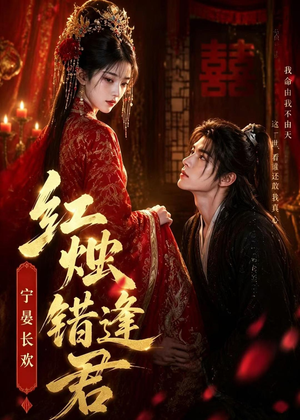 红烛错逢君，宁宴长欢（51集）精彩好看的短剧