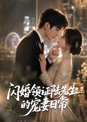 闪婚领证陆先生的宠妻日常（72集）一共多少集