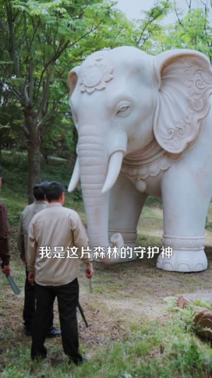 我有一张藏宝图（101集）火爆短剧推荐