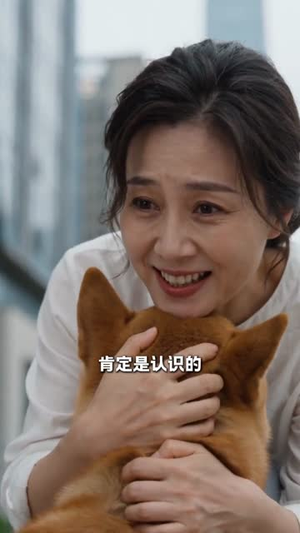 忠犬暖途（81集）短剧在哪里看