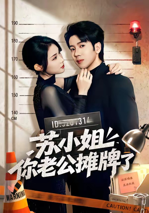 苏小姐你老公摊牌了（60集）观看软件