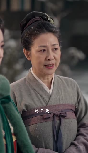 金网锁春风：入府篇（上）（56集）全集免费观看