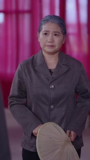 风过杏山，千里思安（60集）全剧看到大结局