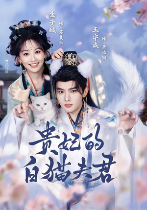 贵妃的白猫夫君（81集）短剧在哪个平台