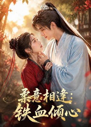 柔意相逢：铁血倾心（101集）全剧免费观看