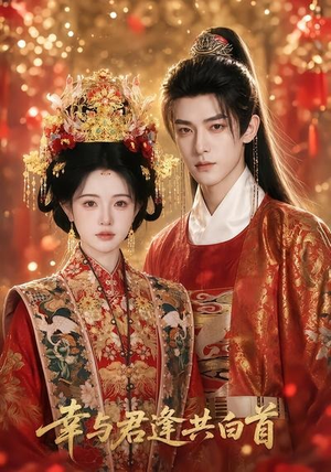 幸与君逢共白首（79集）精彩连连免费看