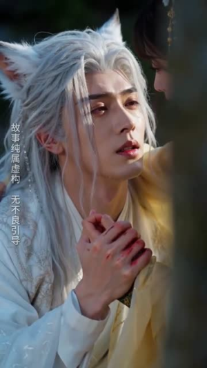 误入狐族域，倾心爱慕狐王（51集）男主角是谁