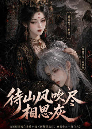 待山风吹尽相思灰（112集）抢先看热门短剧