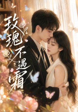 玫瑰不遇霜（42集）在线看完整版