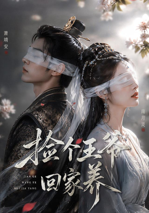 捡个王爷回家养（76集）在线观看完整版