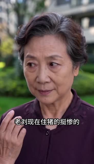 缺席的红本（32集）在哪里看