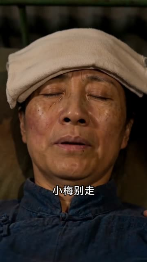 远赴西北，绽放半生锋芒（59集）爆火短剧推荐