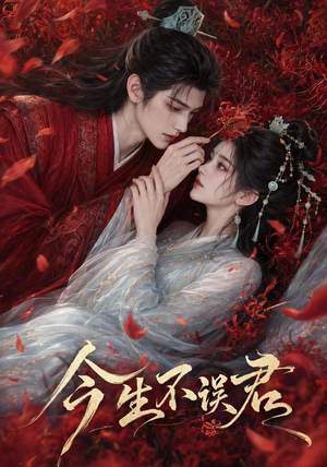 今生不误君(106集) 今生不误君(106集)观看软件