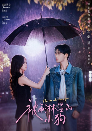 被雨淋湿的小狗（80集）免费看短剧全集