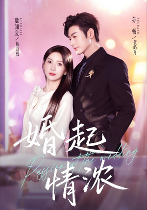 婚起情浓（99集）海量资源免费看
