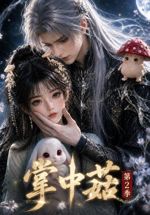 掌中菇第2季(31集) 掌中菇第2季(31集)在线看免费版