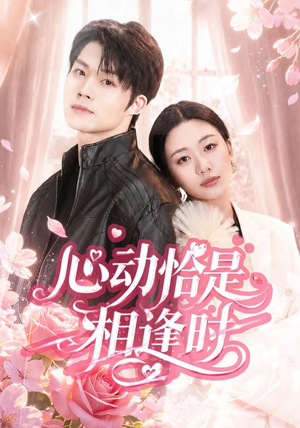 心动恰是相逢时(80集) 心动恰是相逢时(80集)免费短剧完整版