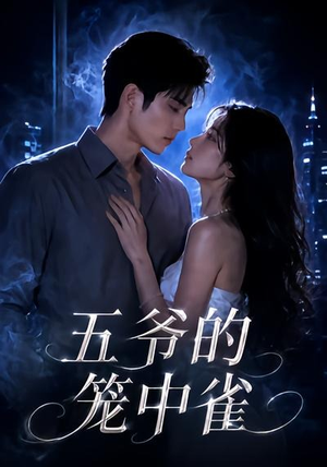 五爷的笼中雀（72集）精彩短剧随心推
